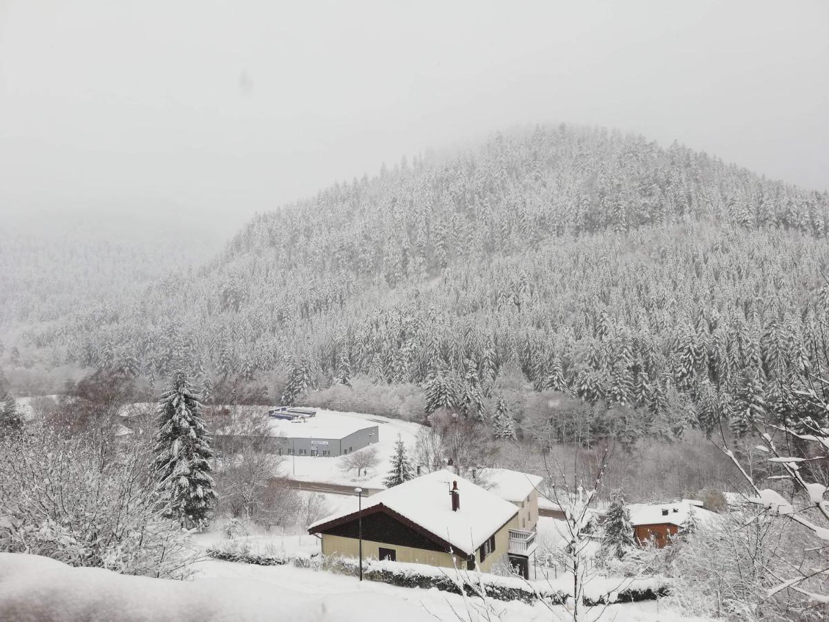 Chalet Le Bruleux La Bresse Exterior foto